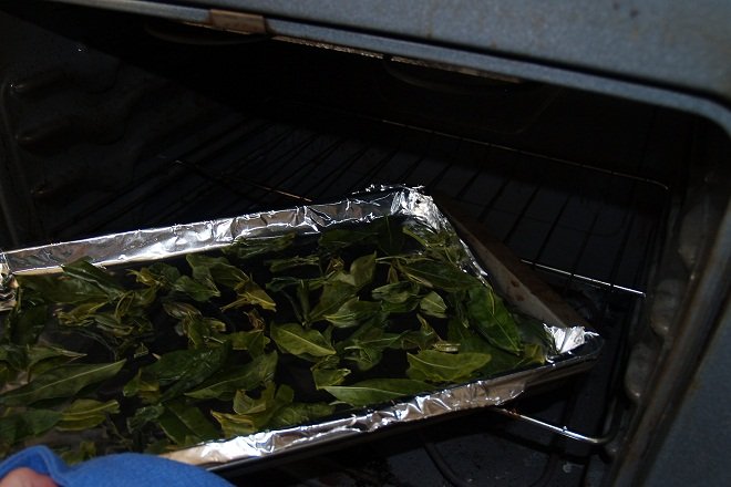 Bí quyết làm bột trà xanh không chỉ xanh mịn mà còn đẹp mắt 4 Cách sấy khô lá trà xanh bằng lò vi sóng